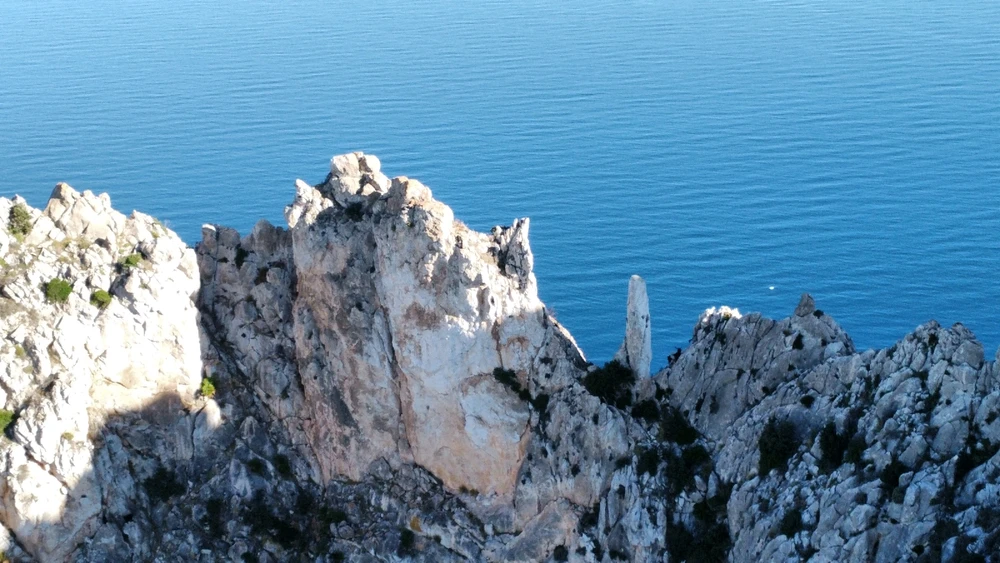 Image uploaded by IonComan