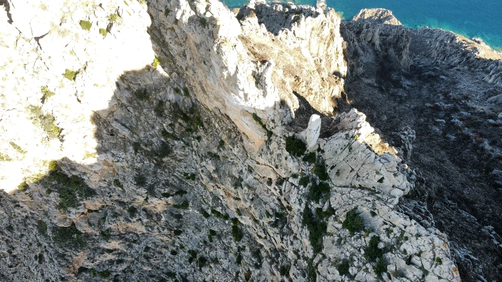 Image uploaded by IonComan