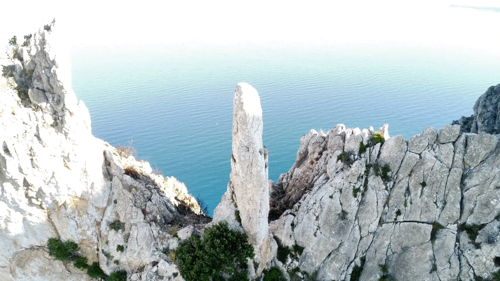 Image uploaded by IonComan