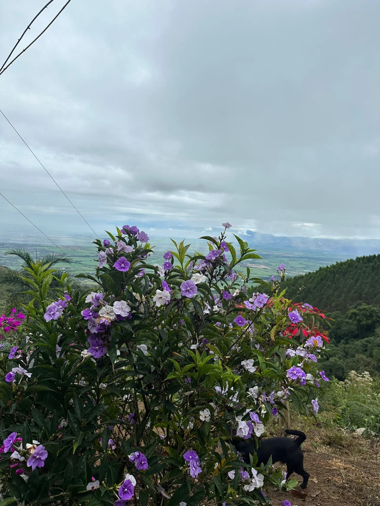 Image uploaded by Susana