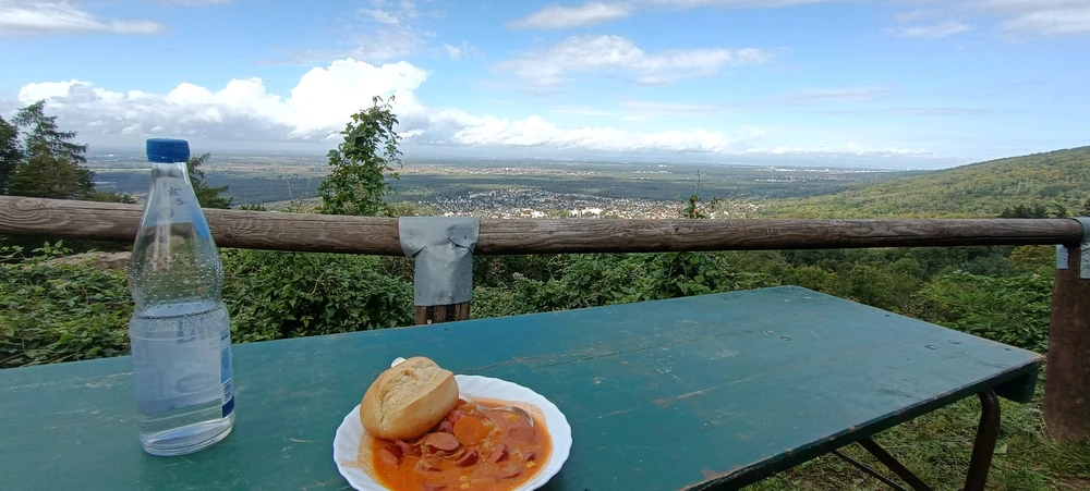 GIF uploaded by Homer