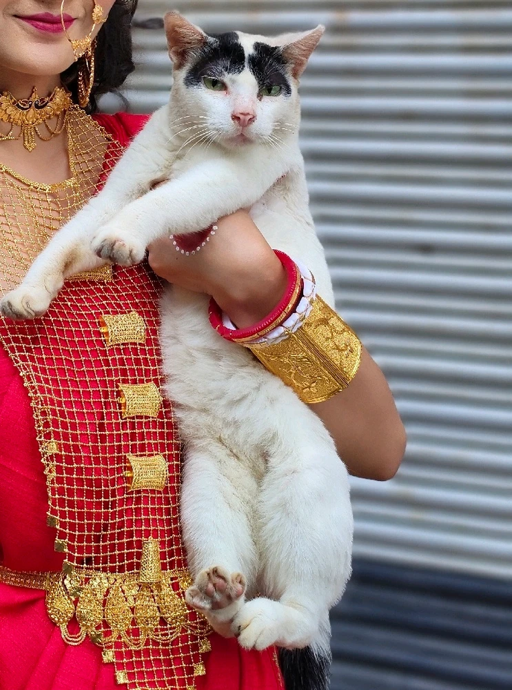 Gambar diunggah dening Lily