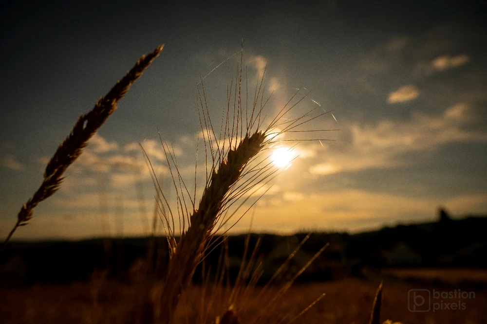 GIF hochgeladen von Sebastian