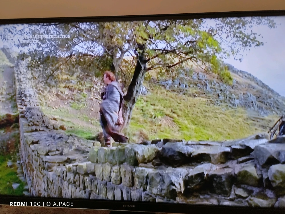 Immagine caricata da Alessandro | alpacigno