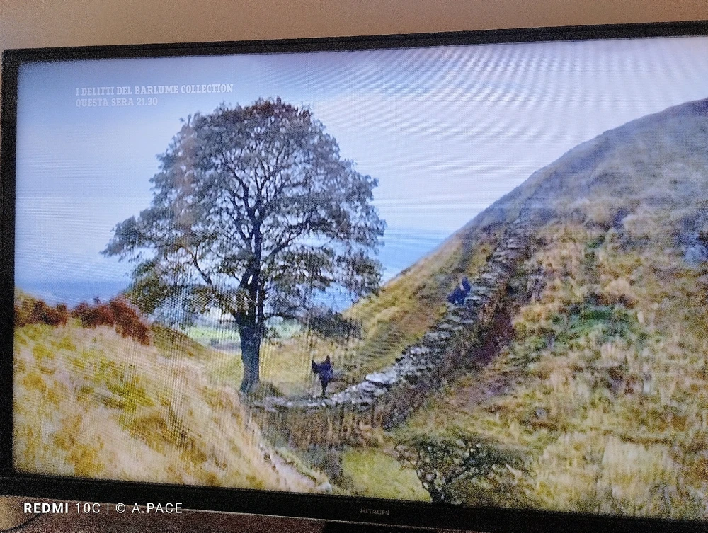 Immagine caricata da Alessandro | alpacigno