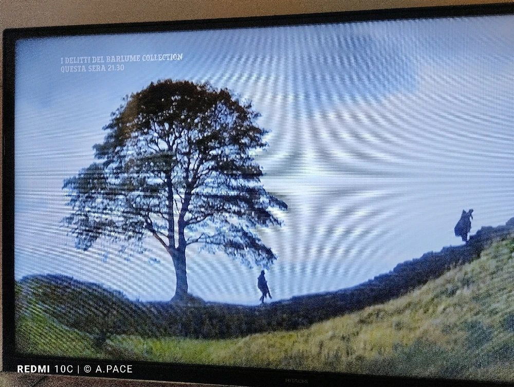 Immagine caricata da Alessandro | alpacigno