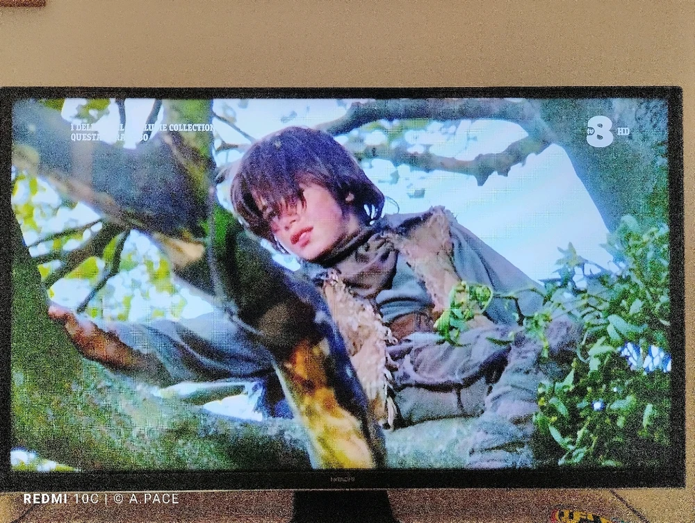 Immagine caricata da Alessandro | alpacigno