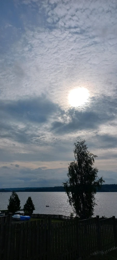 Image uploaded by Maria (Masha)