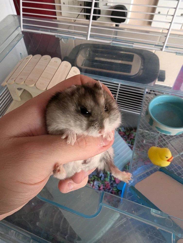 GIF uploaded by Charlie