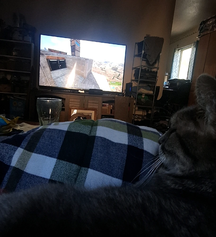 GIF uploaded by Collin