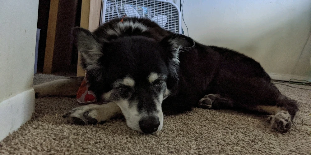 GIF uploaded by Mark