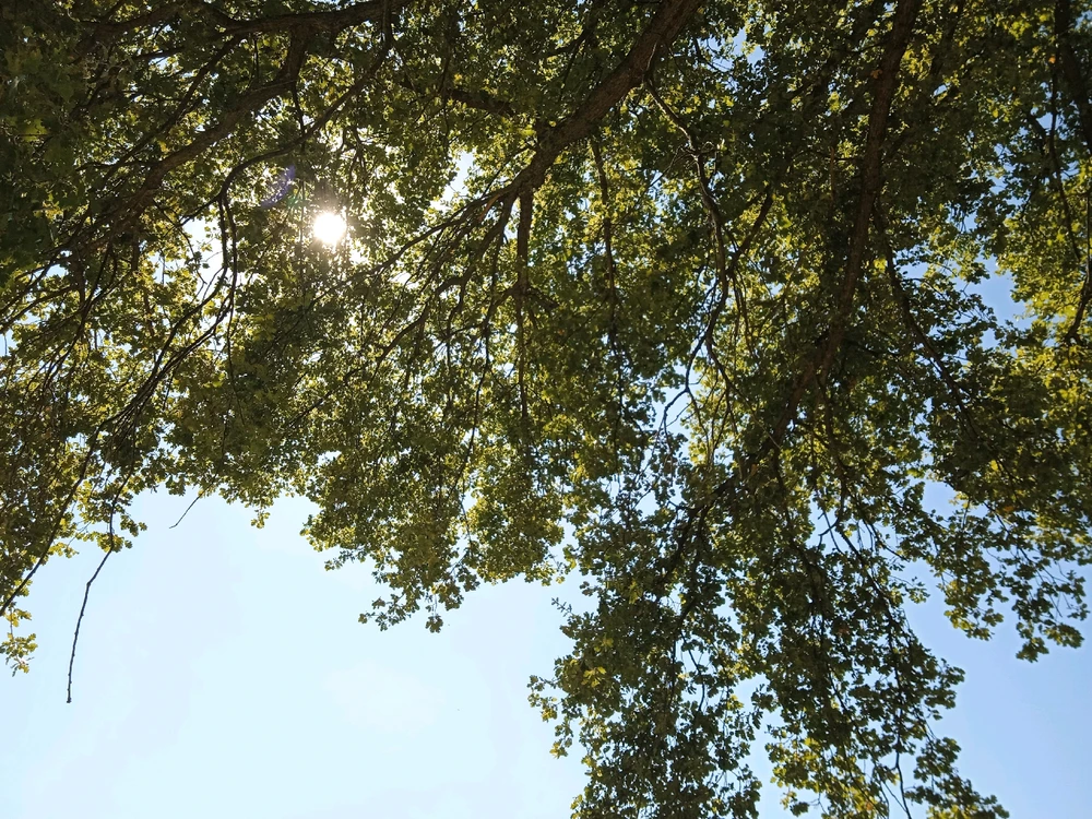 GIF caricata da Marco