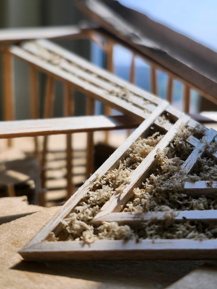 Image uploaded by Kim