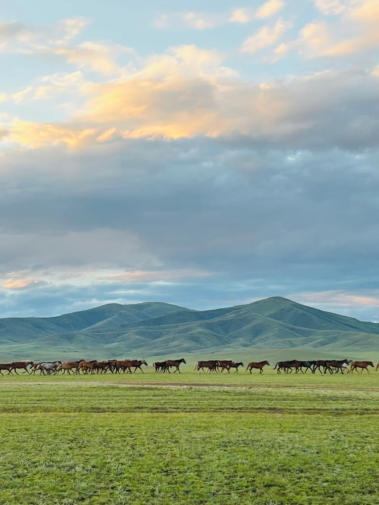 Өсөх-Ирээдүй байршуулсан GIF