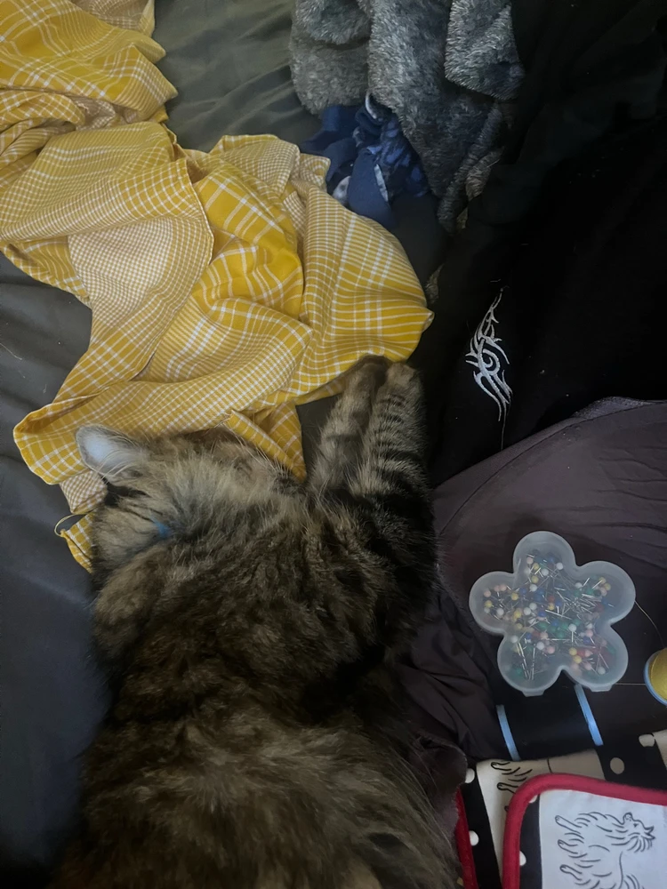 GIF uploaded by Tooti