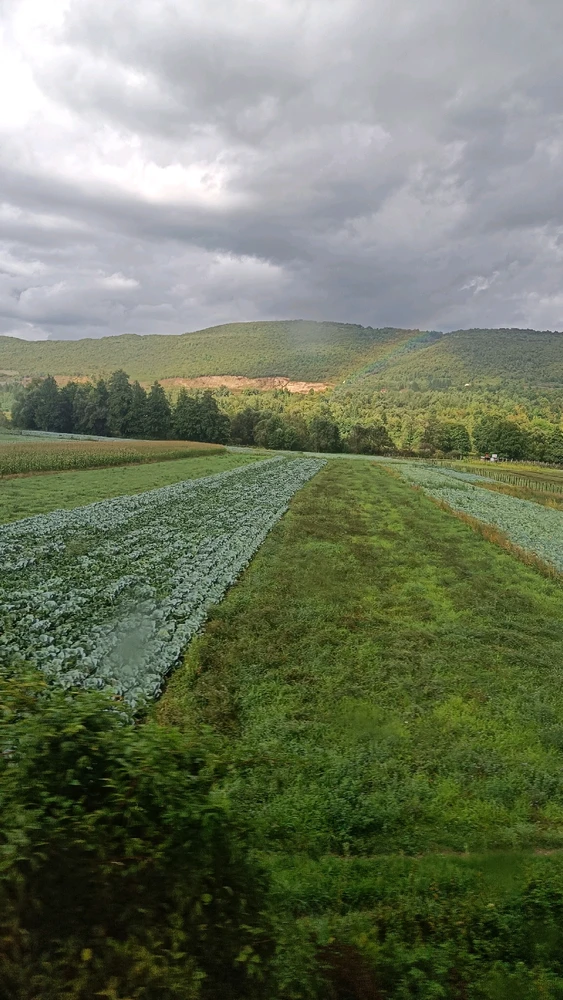 GIF geüpload door Yentl