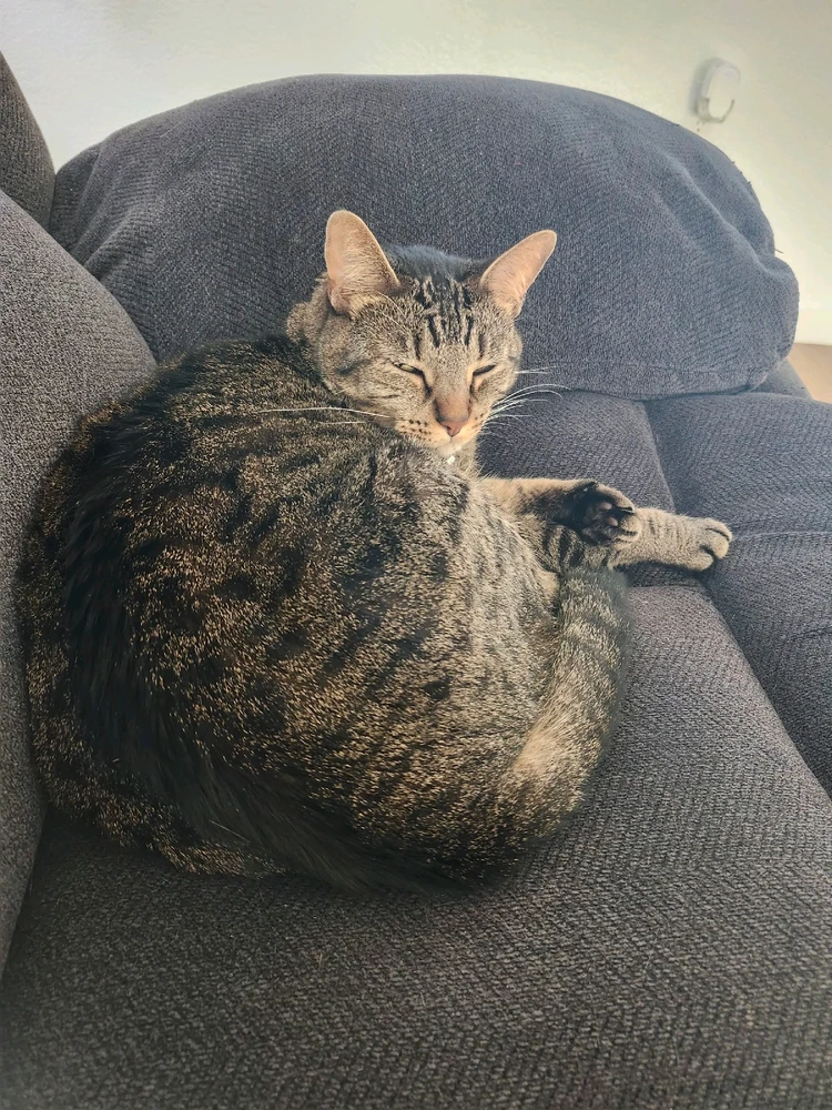 GIF uploaded by Herita