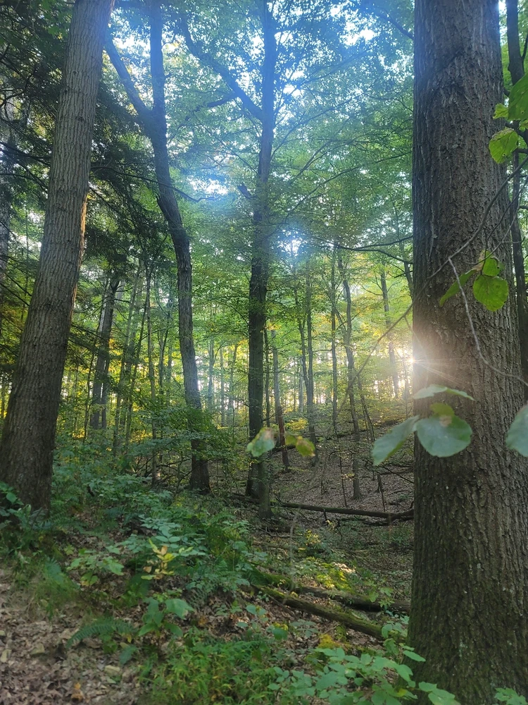 Image uploaded by Chris