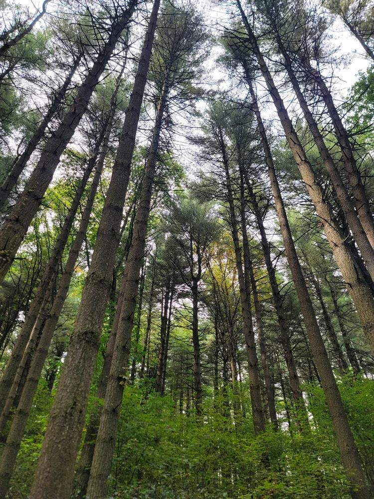 Image uploaded by Chris