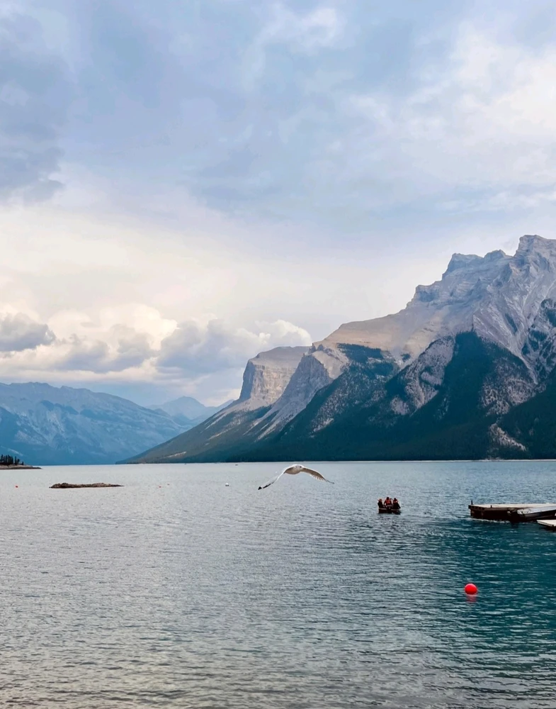 Bild hochgeladen von Max