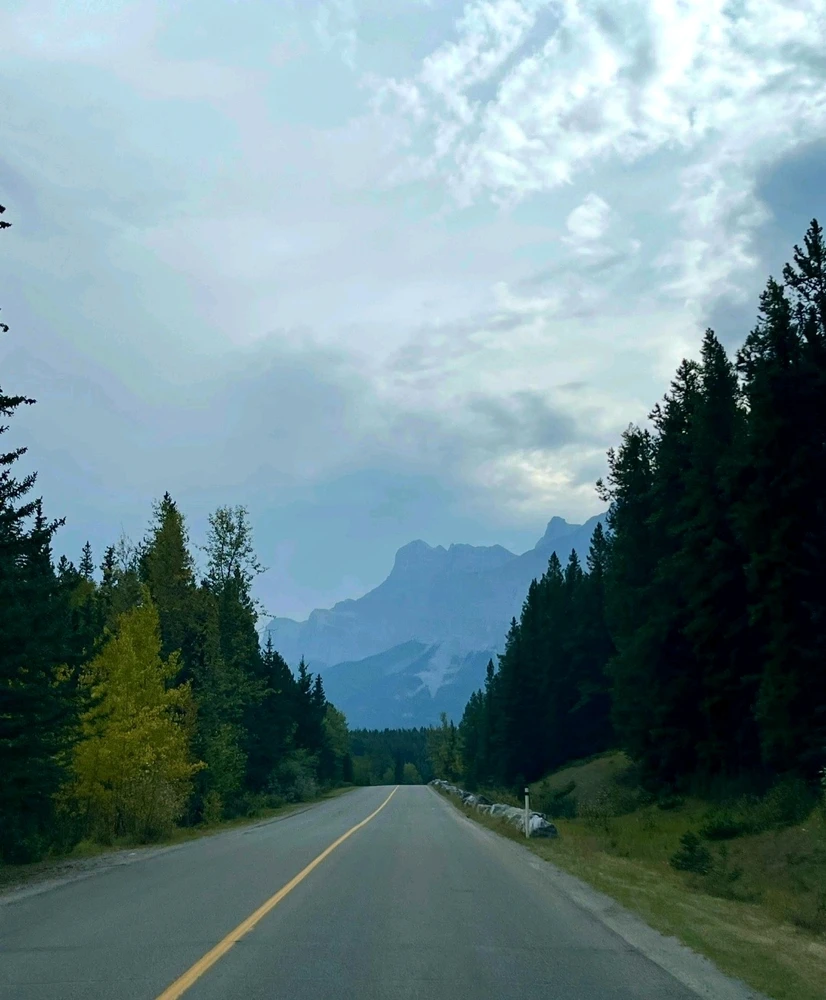 Bild hochgeladen von Max