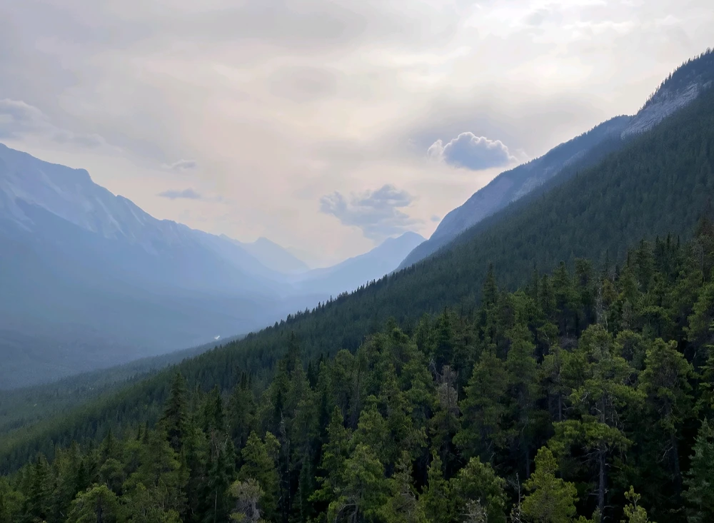 Bild hochgeladen von Max