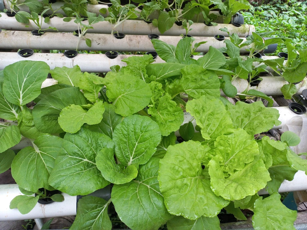 GIF diunggah dening Lola