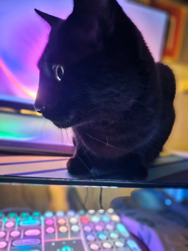 GIF uploaded by Casondra