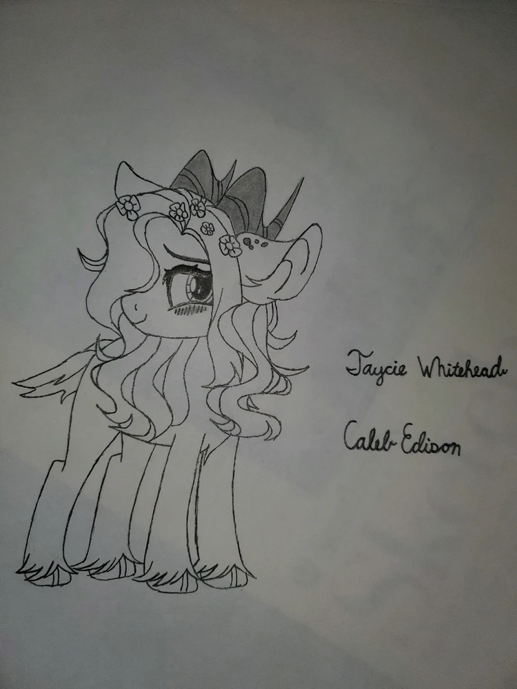 Gambar diunggah dening Caleb