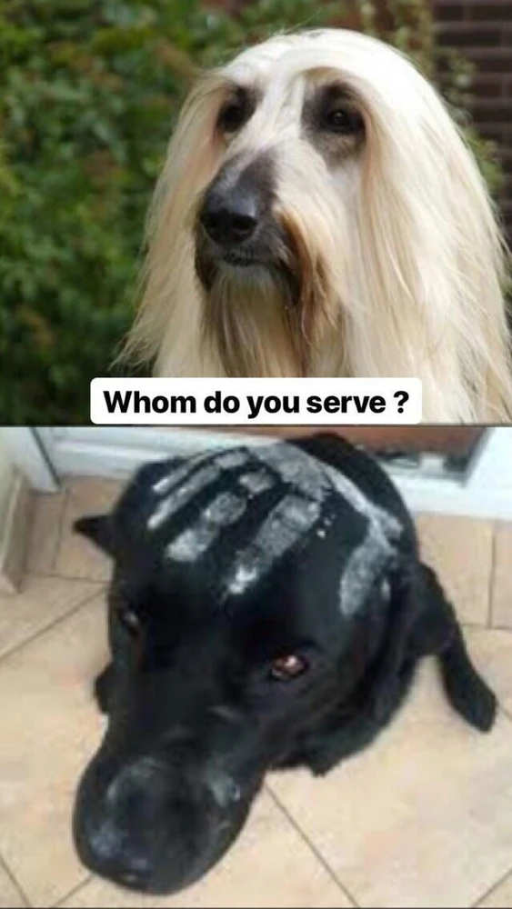 Zdjęcie dodane przez Sebastian