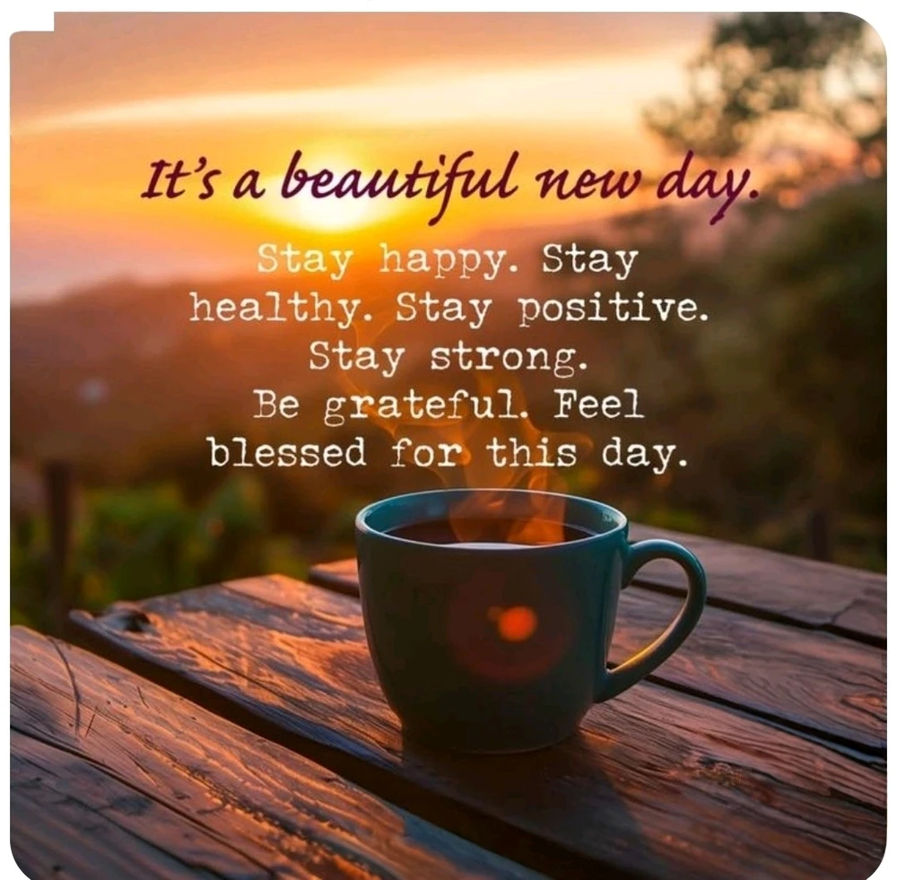 Image ajoutée par Saffiya