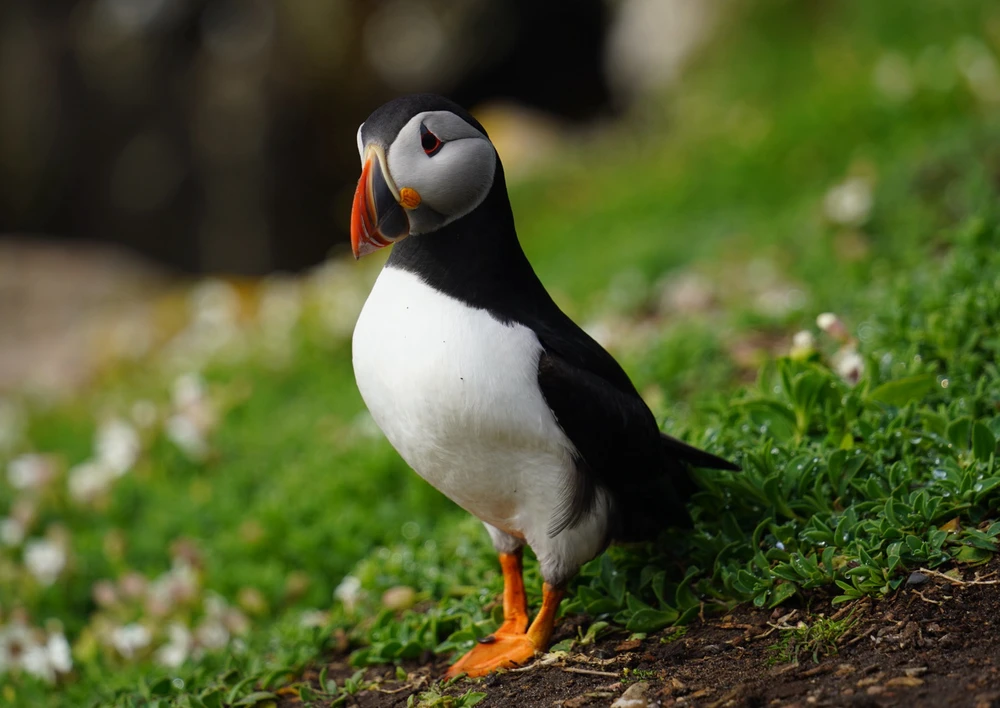 Image uploaded by Shubham