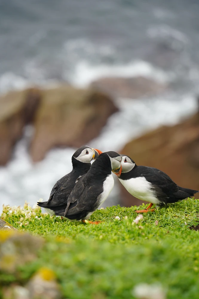 Image uploaded by Shubham