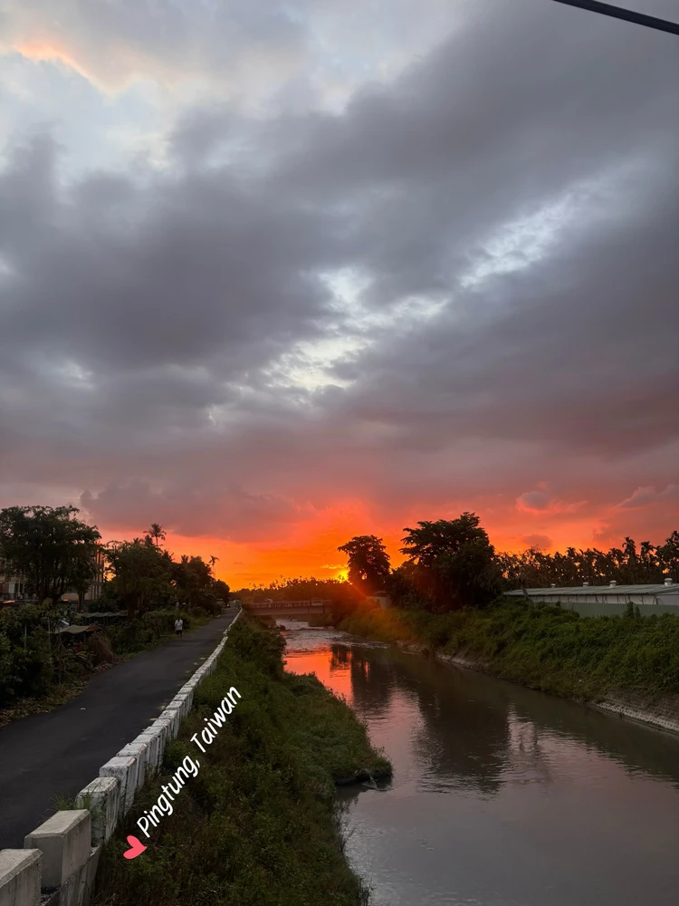 Life in the countryside ✨