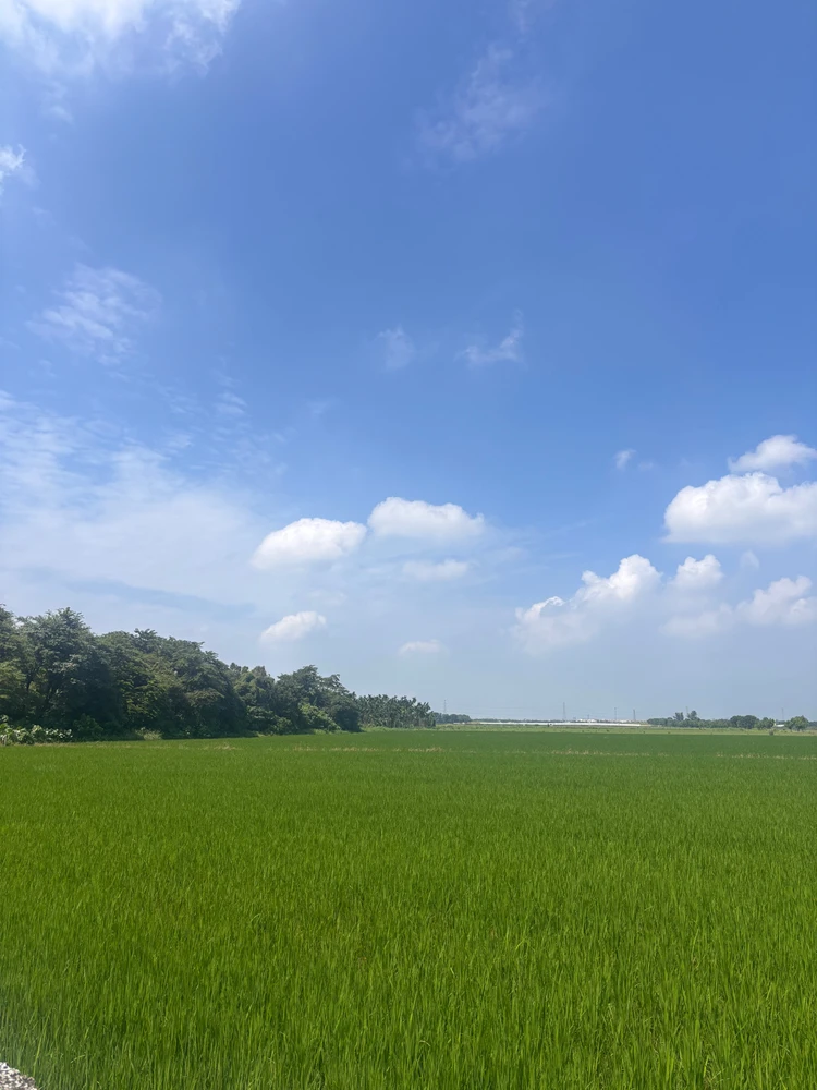 Life in the countryside ✨