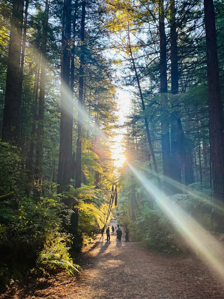 GIF uploaded by Dani