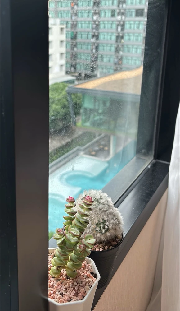 GIF อัปโหลดโดย Po