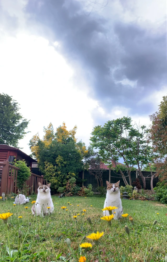 Image uploaded by Adam