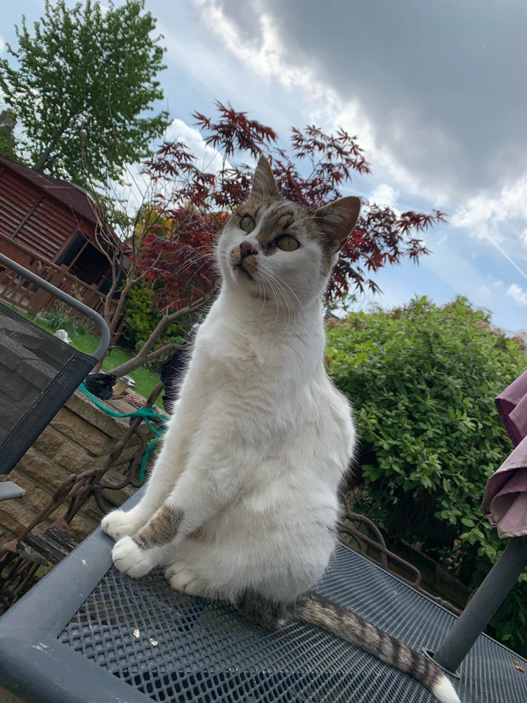 Image uploaded by Adam