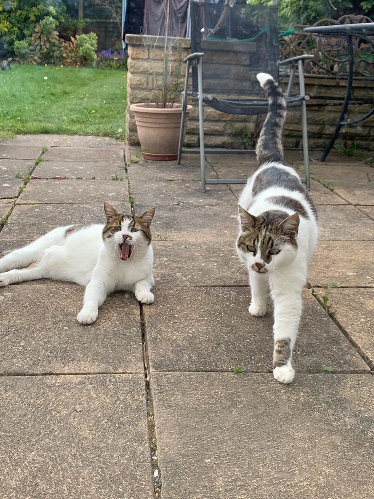 Image uploaded by Adam