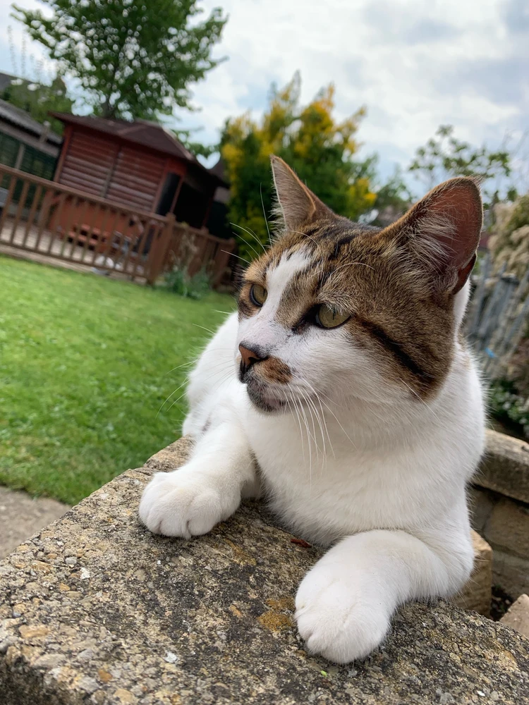 Image uploaded by Adam