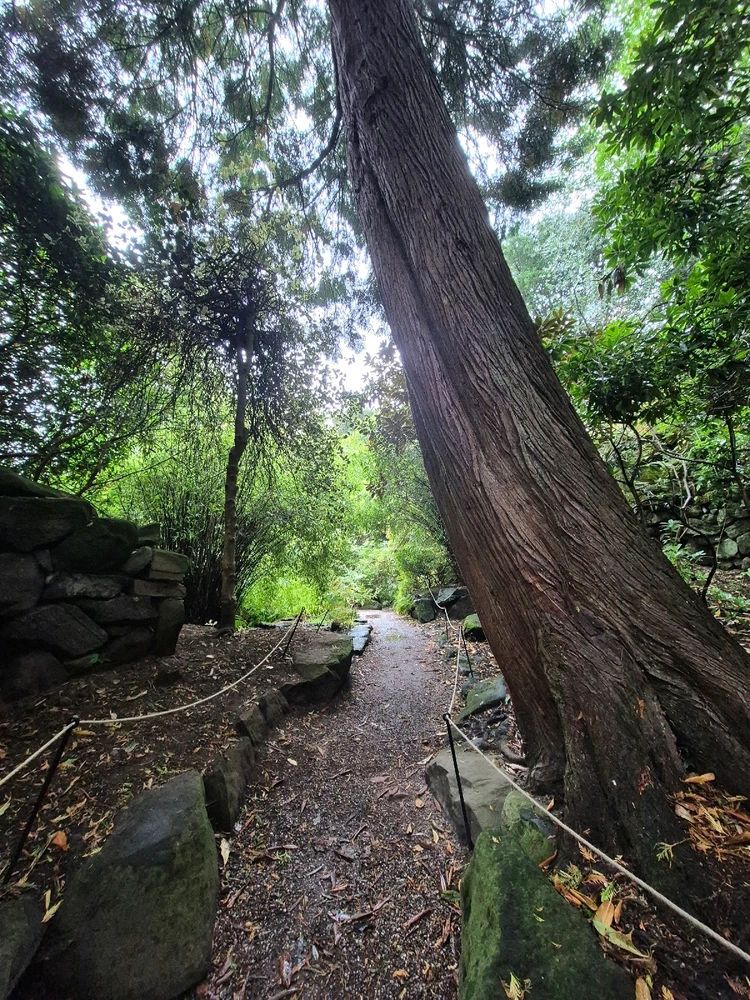 Image uploaded by Sophie