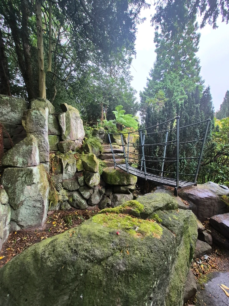 Image uploaded by Sophie