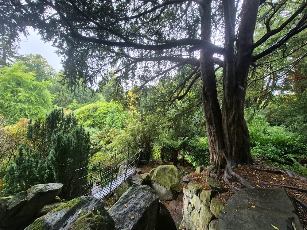 Image uploaded by Sophie