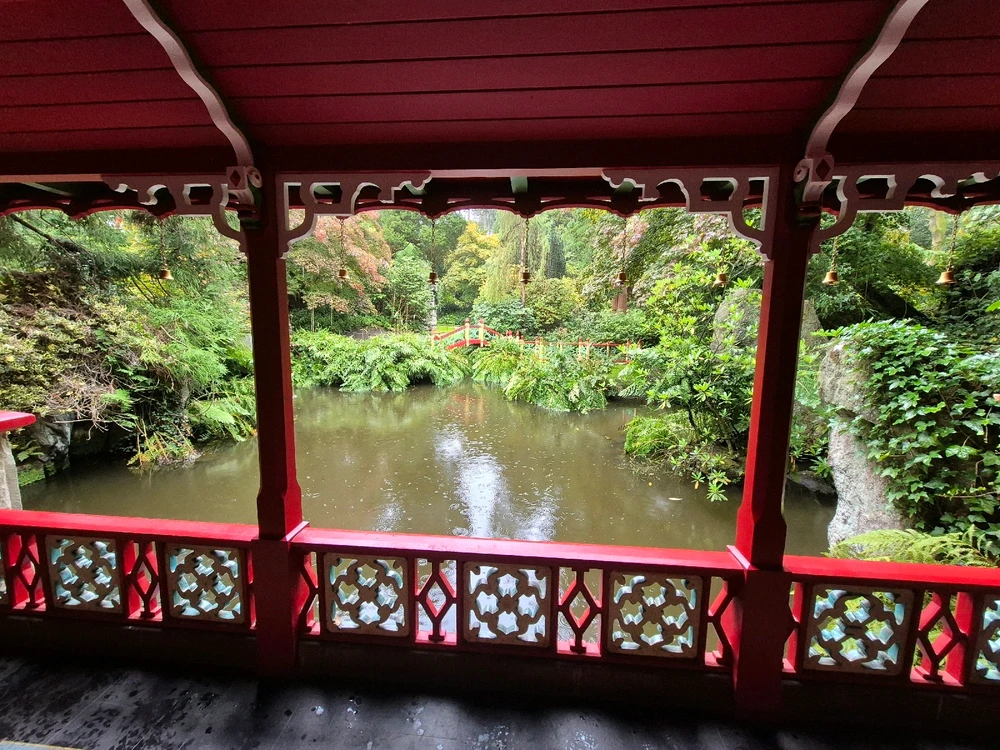 Image uploaded by Sophie