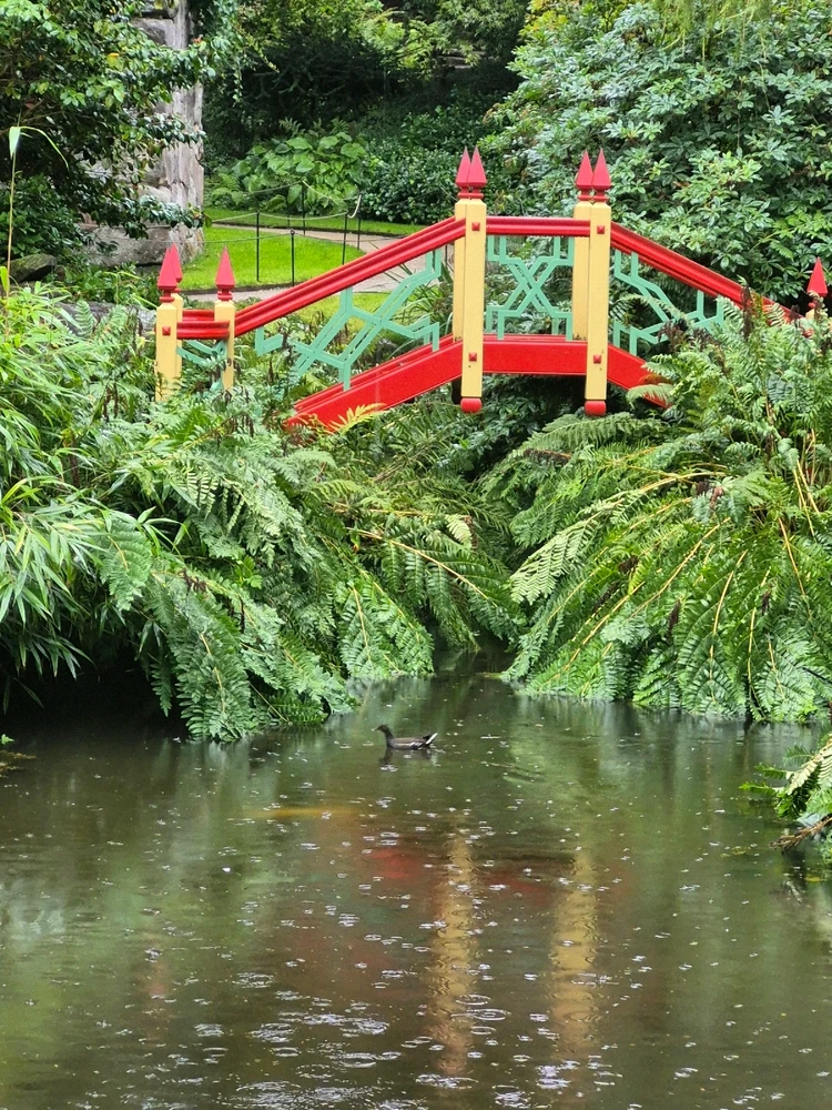 Image uploaded by Sophie