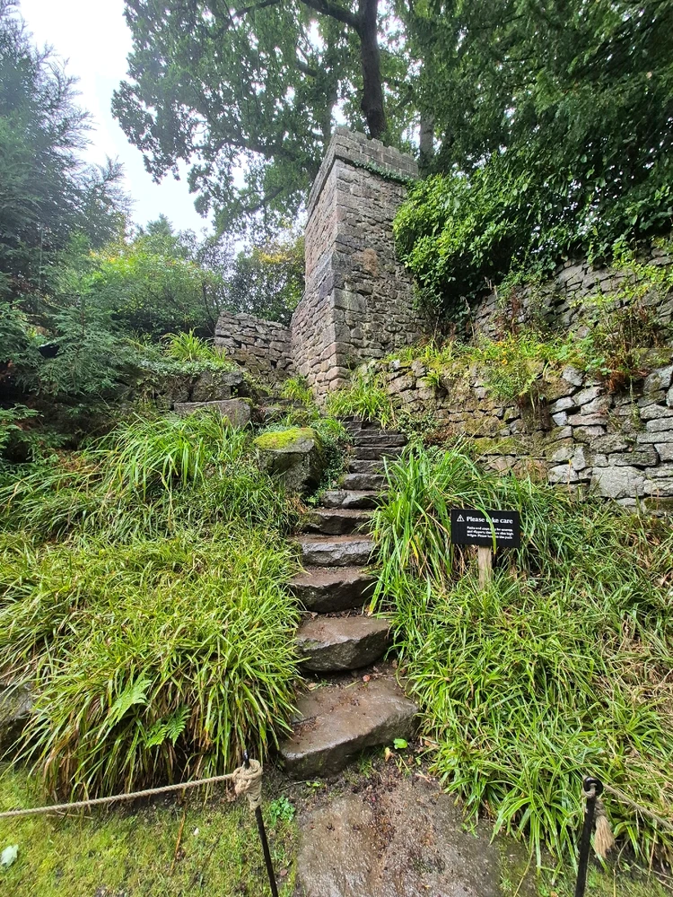 Image uploaded by Sophie