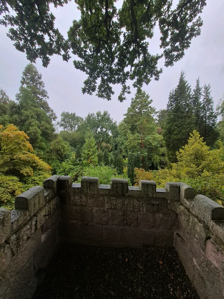 Image uploaded by Sophie