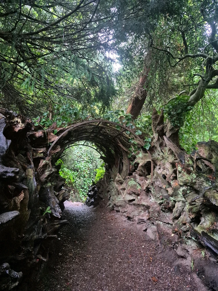 Image uploaded by Sophie