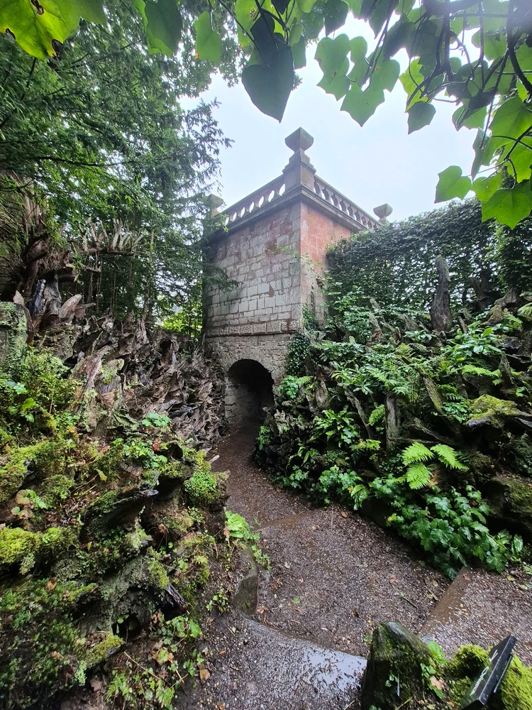 Image uploaded by Sophie